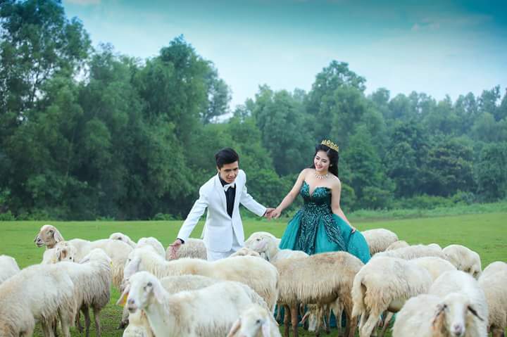 Nhận chụp hình - Hình Album - Quay phim theo yêu cầu